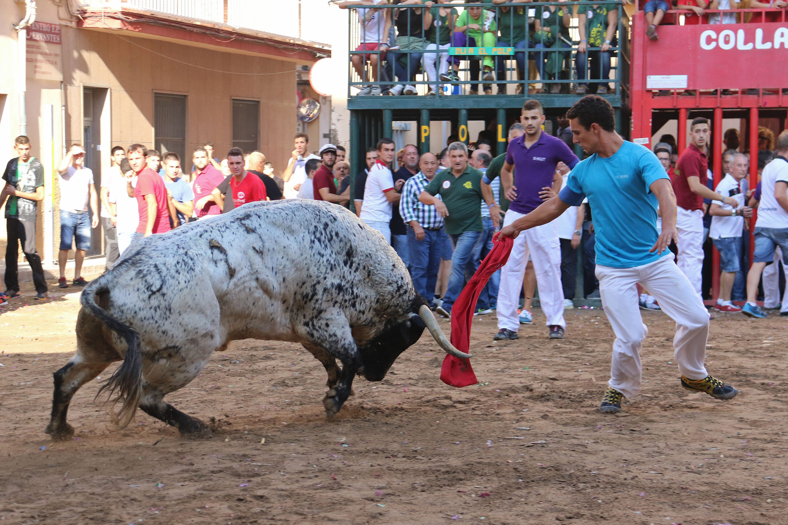 El bou al carrer un impacto económico de millones Aplausos es