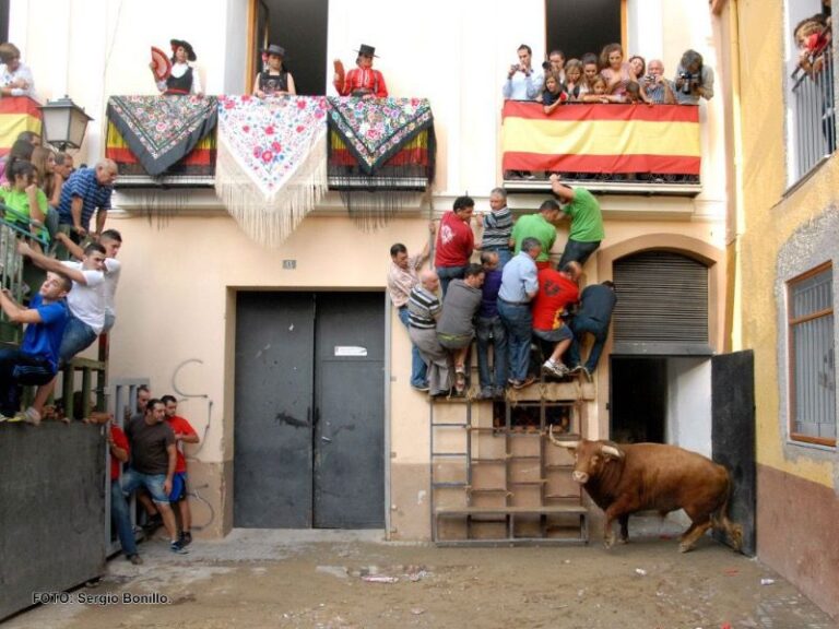 los festejos populares volverán en verano a las plazas portátiles