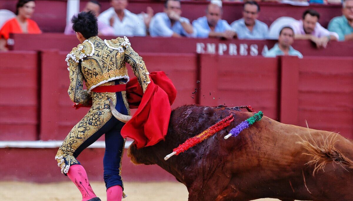 Durísima Cogida A Fortes En Málaga Aplausoses 6331