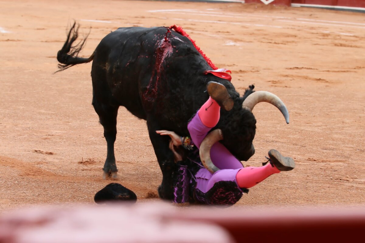 Las 'cornadas' de las banderillas