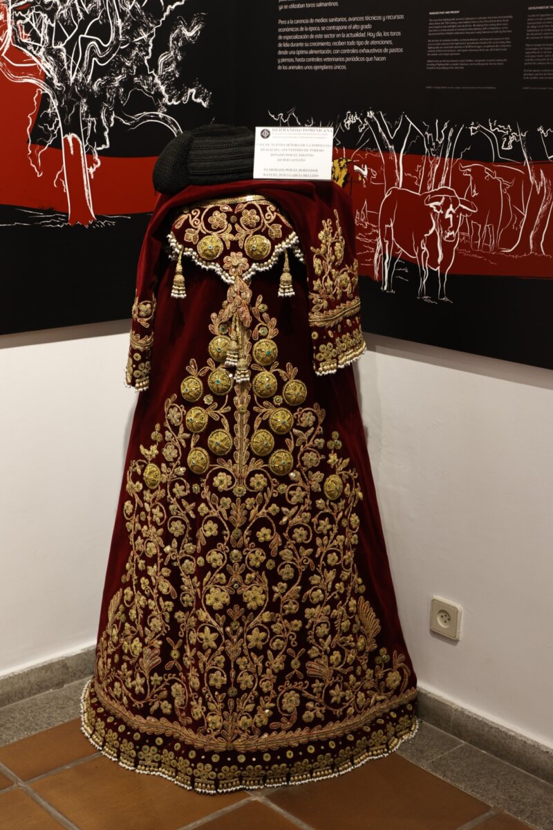 Una saya para la Virgen de la Esperanza confeccionada con un traje de  torear de Javier Castaño - Aplausos.es