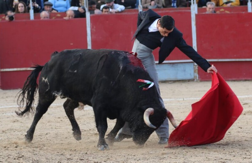 Brillo De Curro Díaz Y Ureña Al Natural En El Festival De Recas